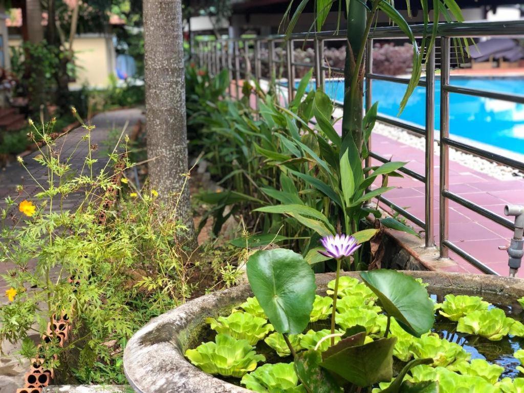 Castaways Resort Phú Quốc-sziget Kültér fotó