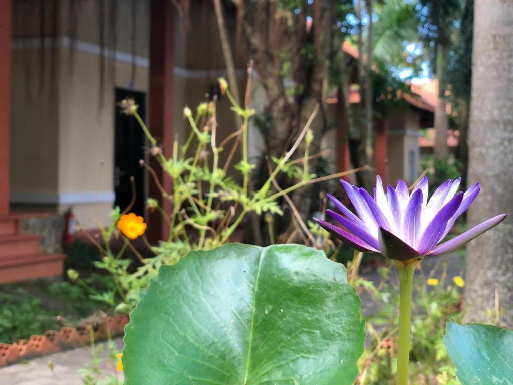 Castaways Resort Phú Quốc-sziget Kültér fotó